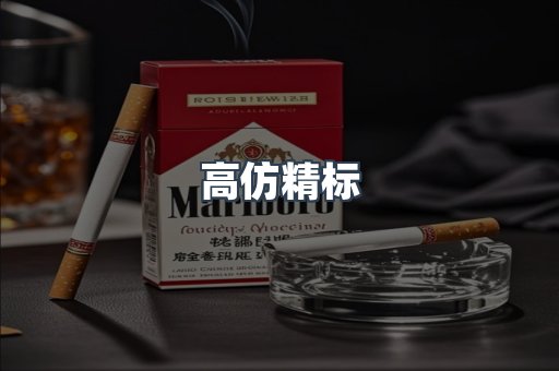 高仿精标
